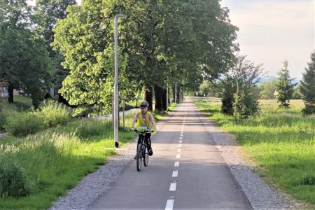 Kolesarska steza ob Borovniščici 3